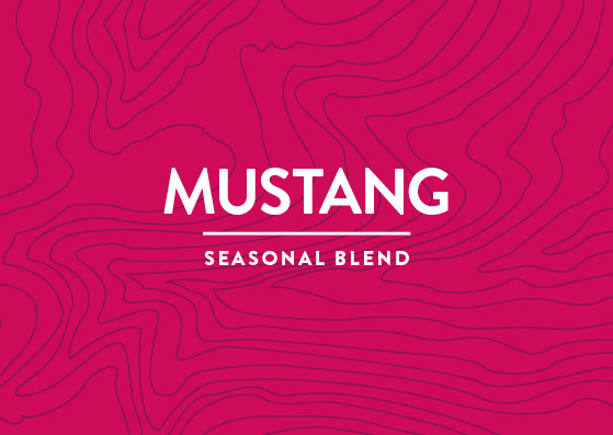 Mustang Dark Caffeinated Blend