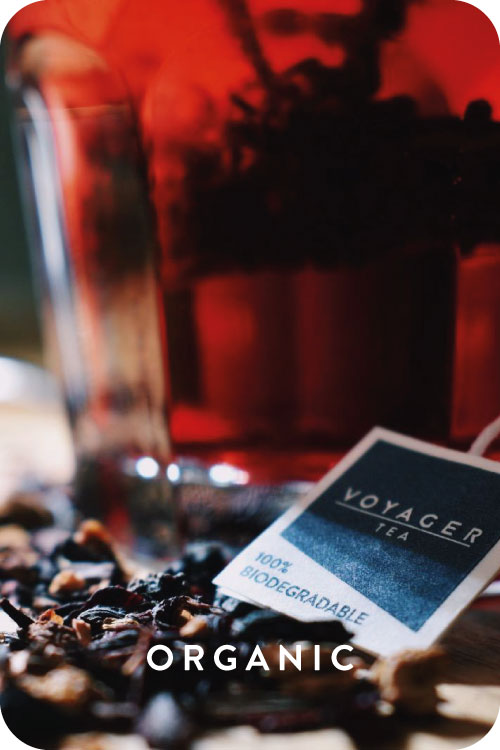 Blackberry and Cinnamon Organic Infusion