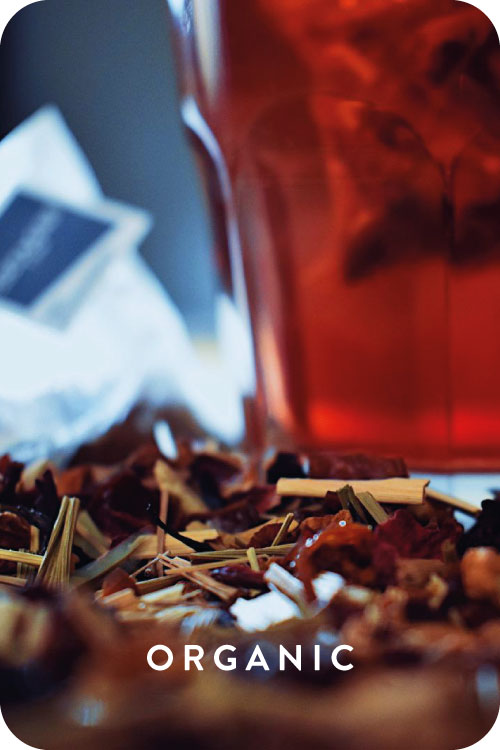 Grapefruit and Orange Organic Infusion