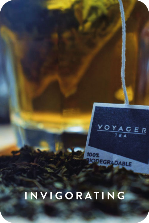 Peppermint Voyager Infusion