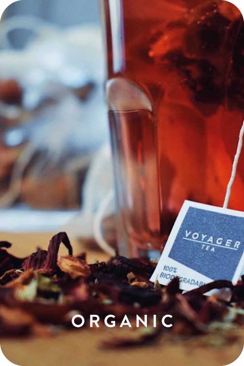 Wild Summer Voyager Infusion