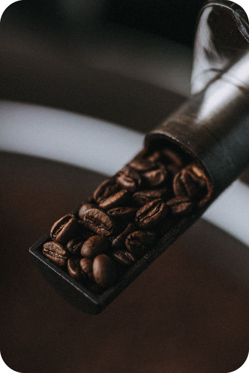 Roaster's Choice Subscription Voyager